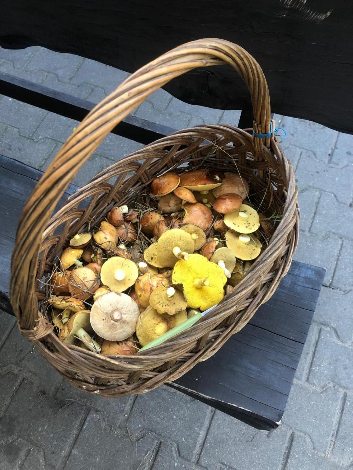Dzwierzuty Slonce Mazur酒店 外观 照片